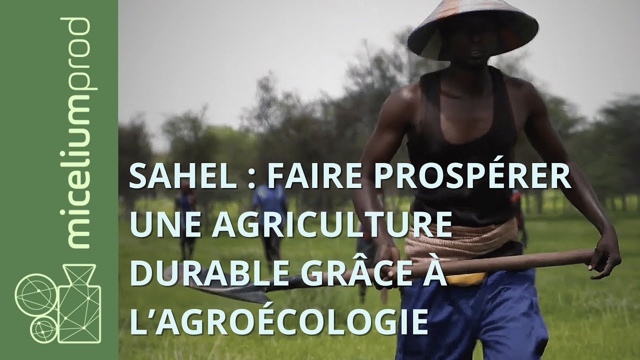 Sahel : Faire prospérer une agriculture durable grâce à l’agroécologie