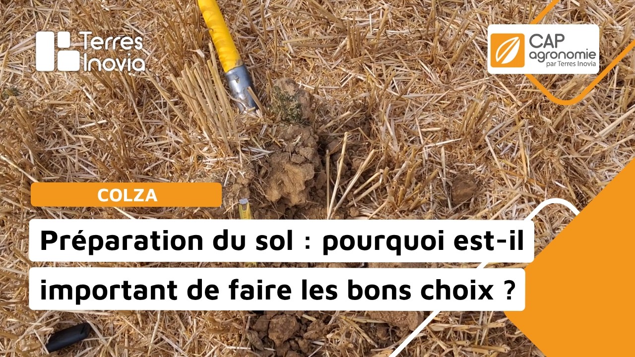 Préparation du sol : pourquoi est-il important de faire les bons choix ?