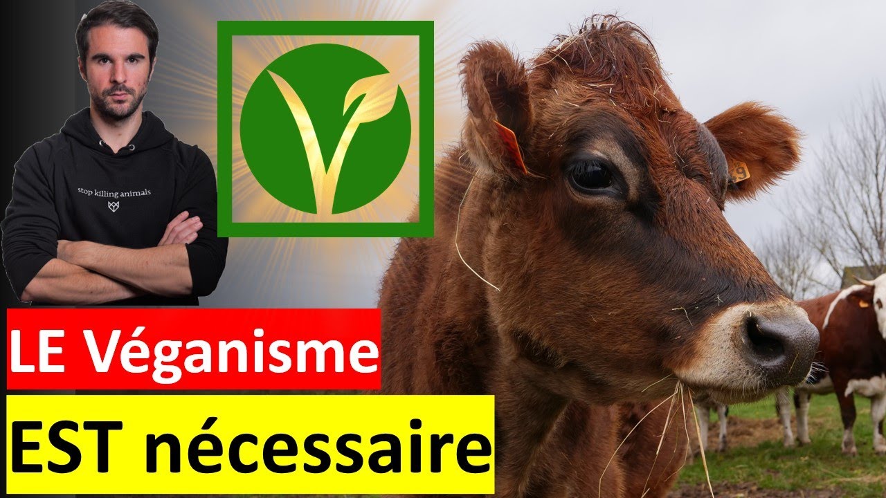 Pourquoi un mode de vie Végane est nécessaire pour la planète et les animaux