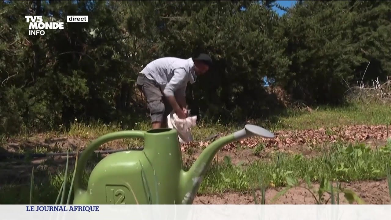 Tunisie : émergence de la permaculture