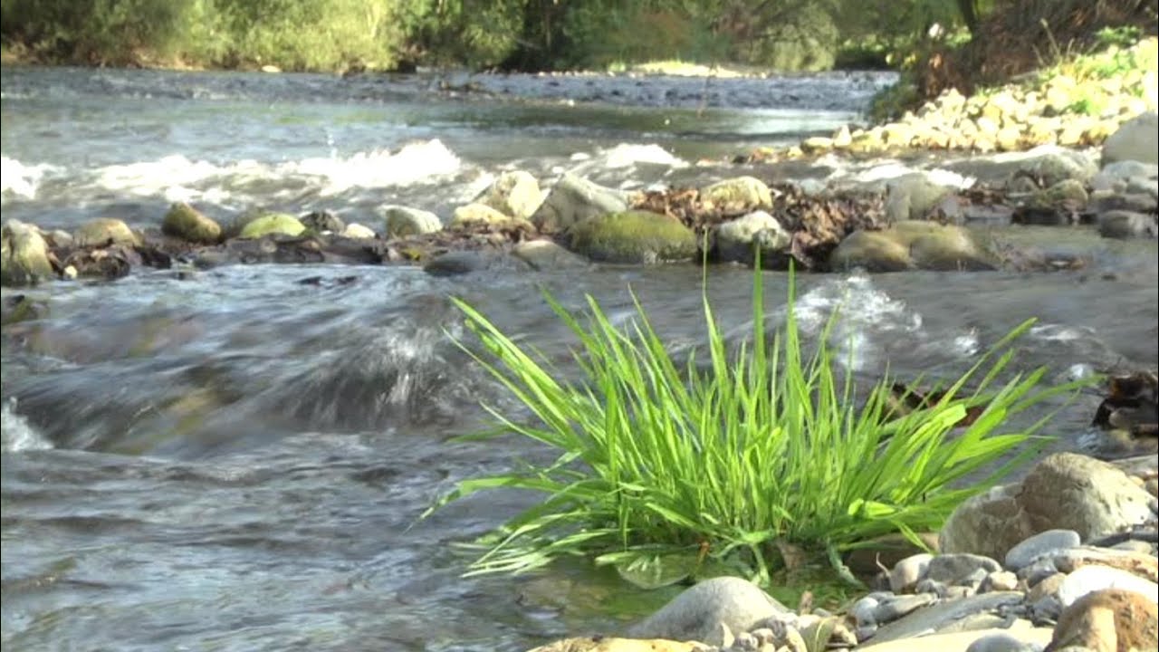 EAU ET AGRICULTURE QUELLES SOLUTIONS POUR LE FUTUR ?