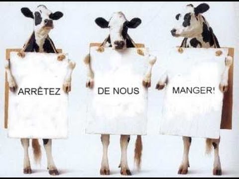Etre et devenir végétarien
