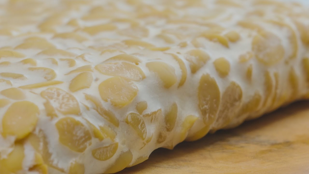 L'épicerie | Comment apprivoiser le tempeh