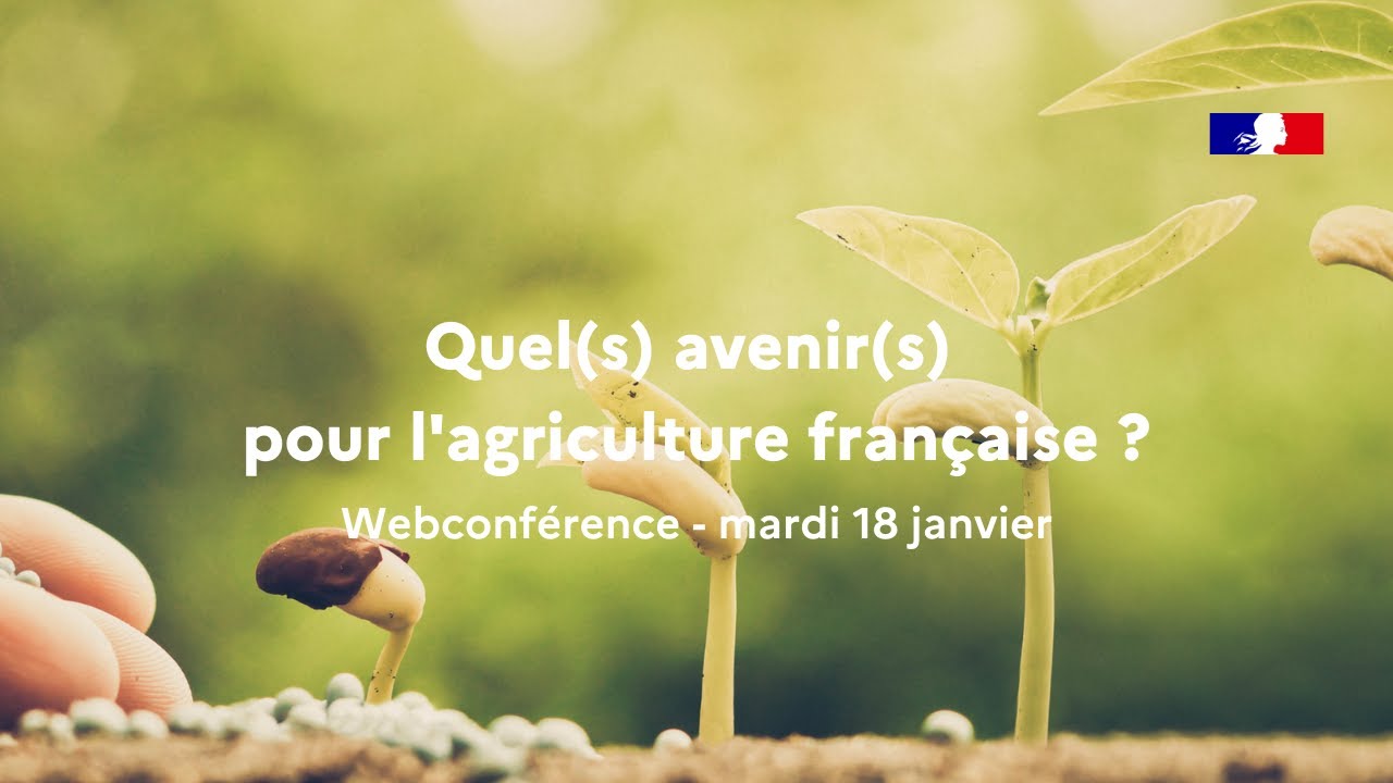 Webconférence - Quel(s) avenir(s) pour l'agriculture française ?