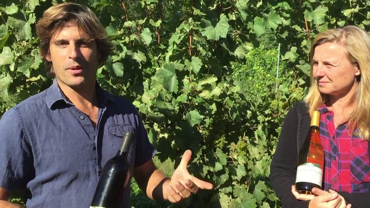 Des vignerons québécois expliquent l’art de la biodynamie