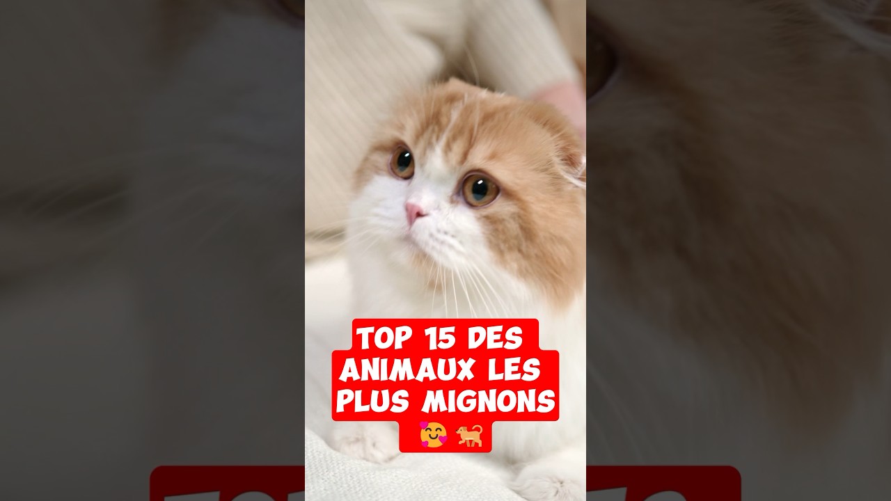 TOP 15 ANIMAUX LES PLUS MIGNONS 🥰😻🐶 #shorts #animaux #mignon