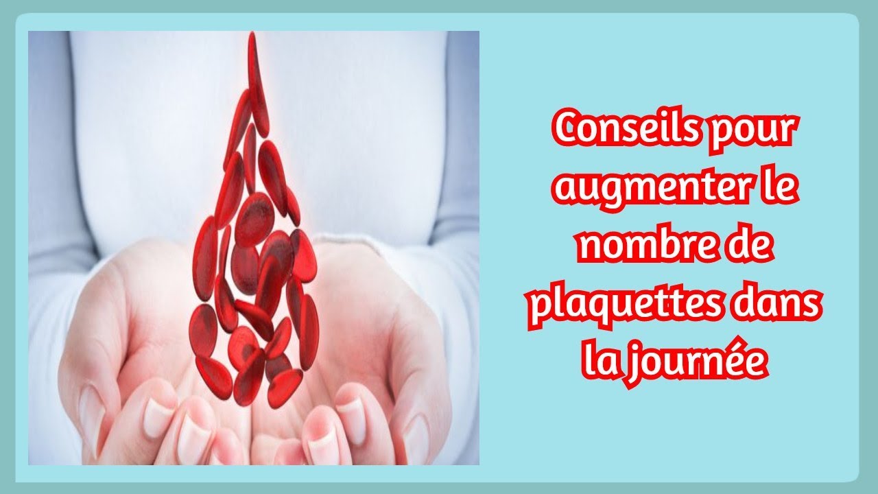 Conseils pour augmenter le nombre de plaquettes dans la journée