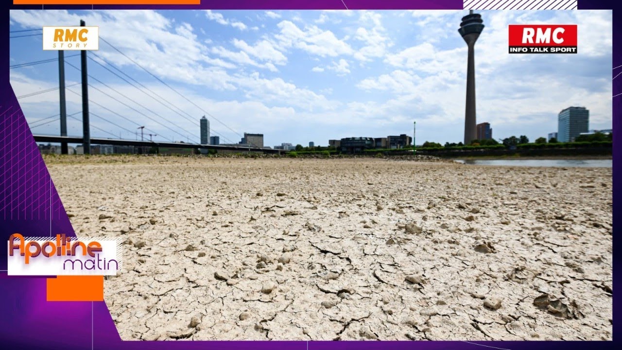 Sécheresse : "une catastrophe écologique et économique potentielle"