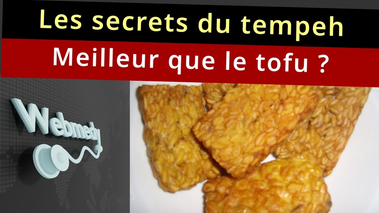 Les secrets des protéines du tempeh (Meilleur que le tofu ?)