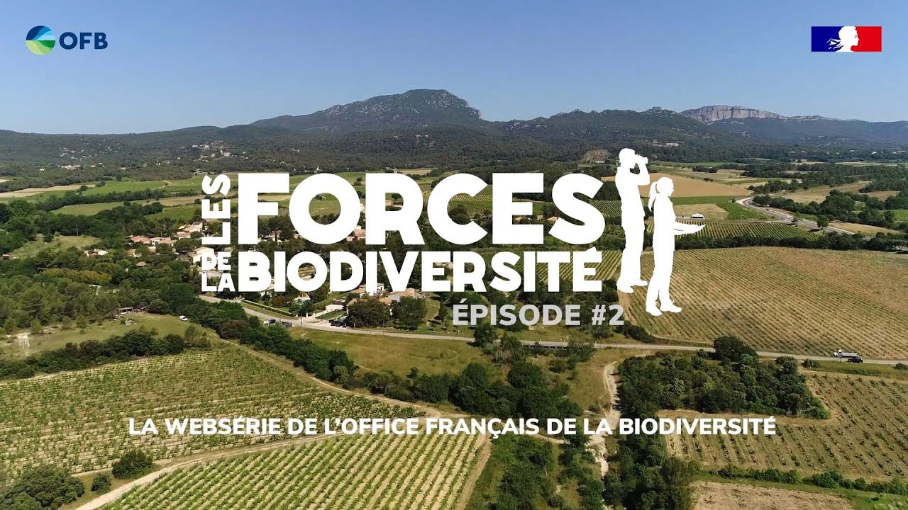 Les forces de la biodiversité #2 : Gestion de la sécheresse