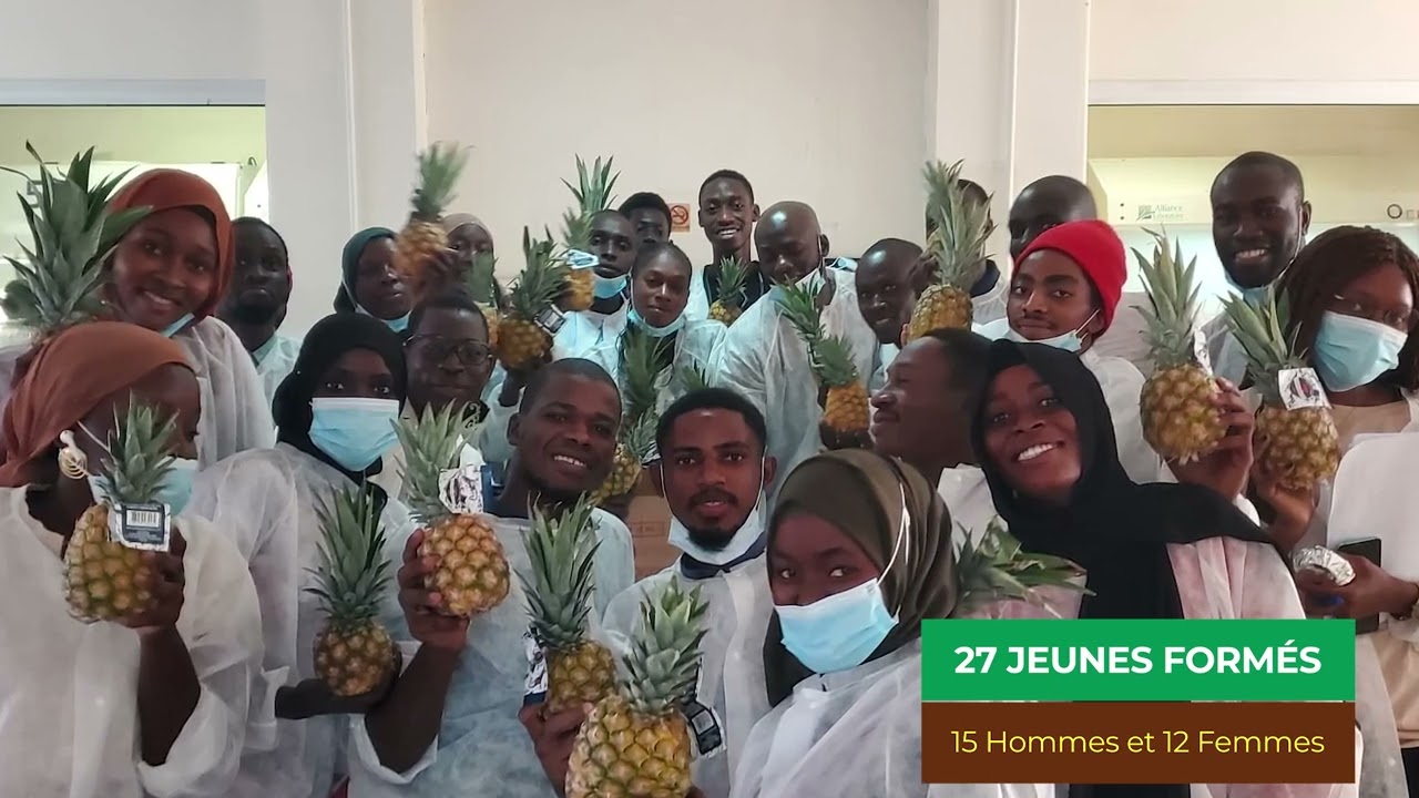 DIANGA : Renforcer les compétences Agricoles pour l'employabilité des jeunes en Afrique de l'Ouest.