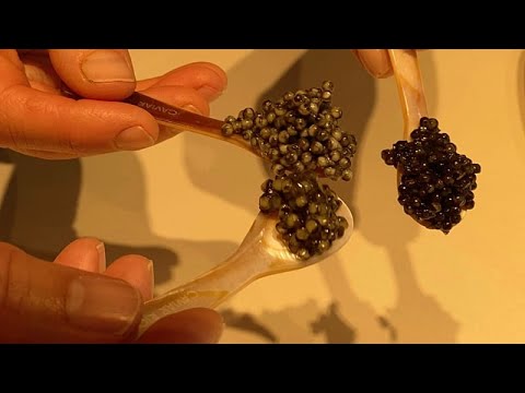 From Europe with taste: ‘World’s first organic caviar’ savours new markets
