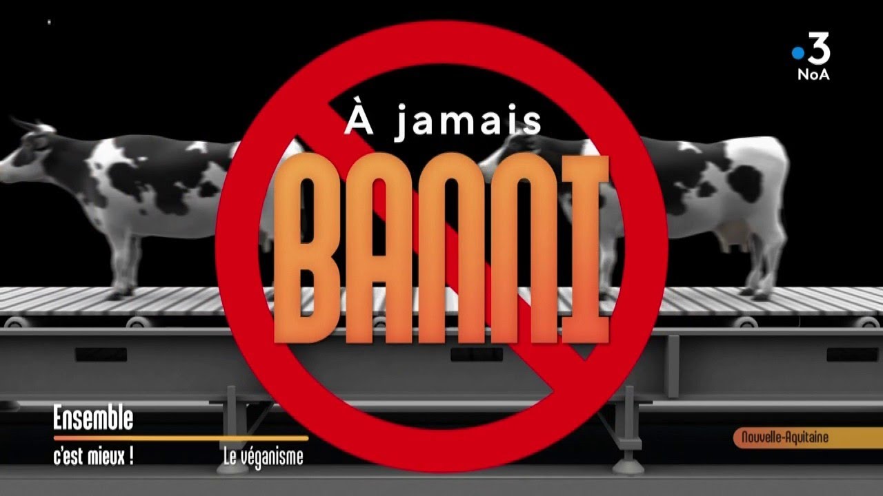 Être VÉGAN est-ce bon pour la santé ? Ensemble c'est mieux !