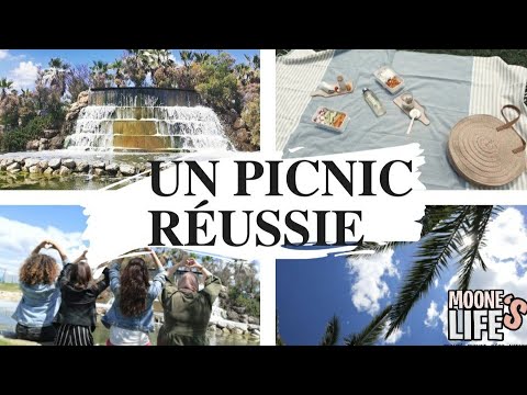[ORGANISATION MAISON] COMMENT ORGANISER ET RÉUSSIR UN PICNIC || Moone's life