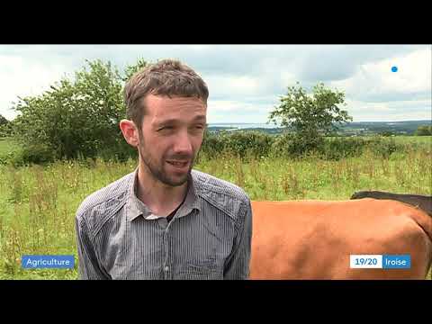 Terres vendues aux enchères : une ferme bio de Daoulas menacée