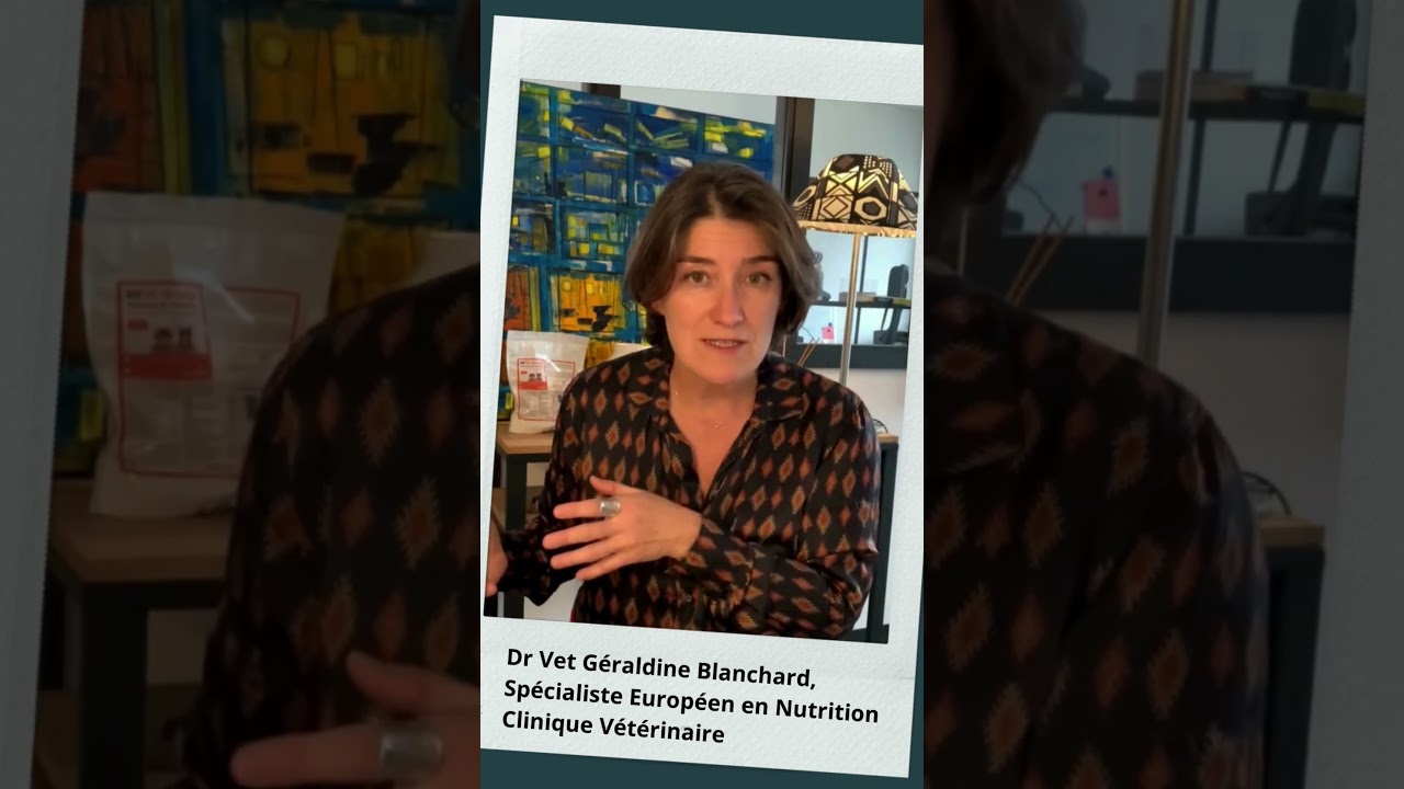 [IDEES RECUES ] Un carnivore, c'est quoi ?