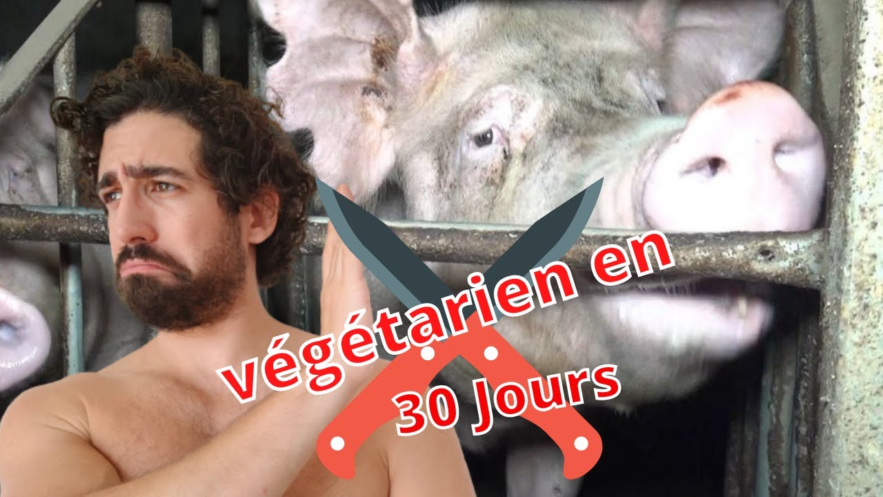 Comment devenir végétarien en 30 jours?
