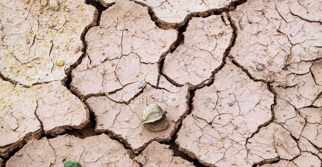 Adapter l&rsquo;agriculture face à l&rsquo;intensification des sécheresses estivales : défis et solutions innovantes