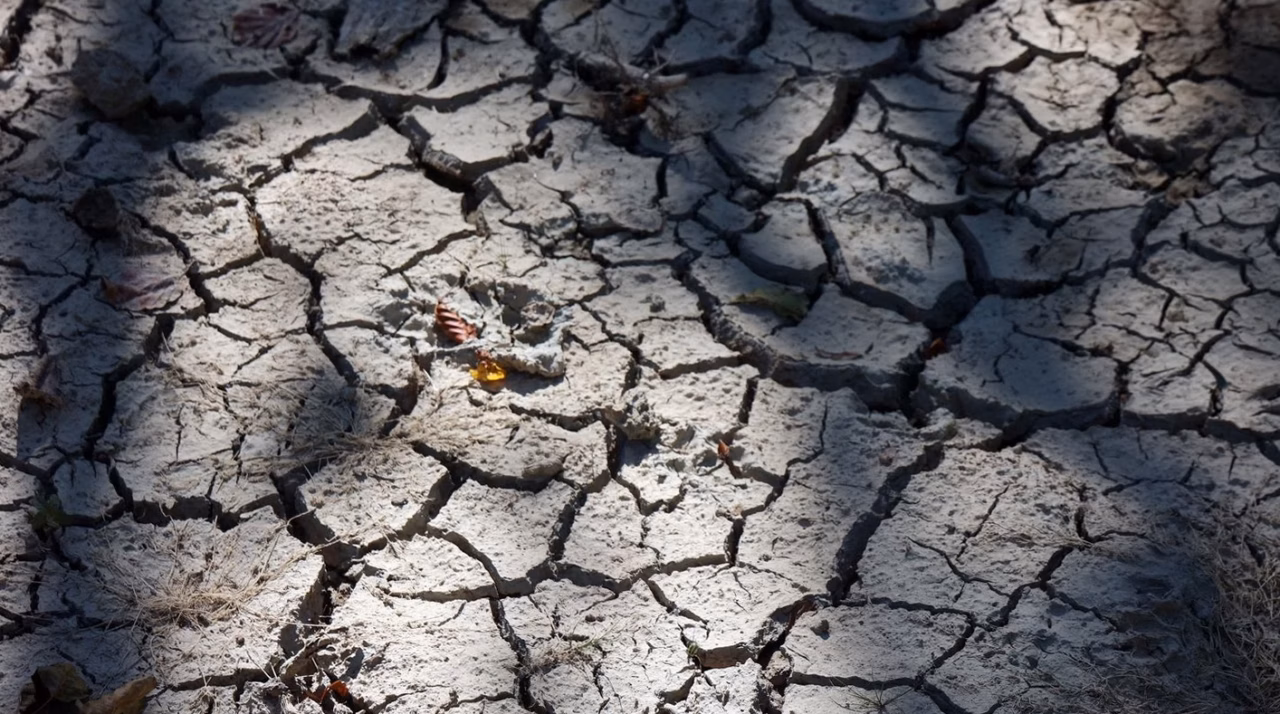 Agroécologie face à la sécheresse : quelles stratégies pour des étés toujours plus arides ?