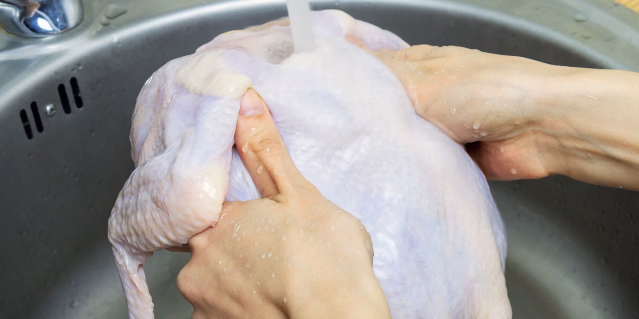 Blanc de poulet : recettes rapides et savoureuses