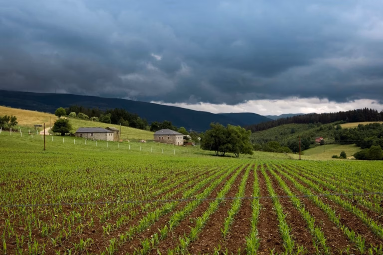 Prades-Salars : L’essor prometteur de l’agritourisme au cœur de la région