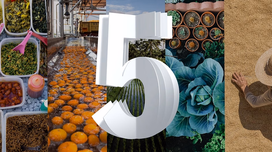 Salon de l&rsquo;Agriculture 2025 : Suivez toutes les actualités, reportages exclusifs et informations en temps réel